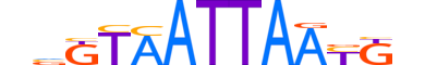 HXB7.H13INVIVO.1.SM.B reverse-complement motif logo (HOXB7 gene, HXB7_HUMAN protein)