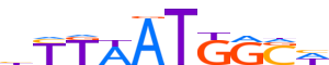 HXB8.H13INVIVO.0.PSM.A motif logo (HOXB8 gene, HXB8_HUMAN protein)