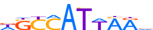 HXB8.H13INVIVO.0.PSM.A reverse-complement motif logo (HOXB8 gene, HXB8_HUMAN protein)
