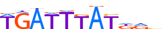 HXC10.H13INVIVO.0.P.B motif logo (HOXC10 gene, HXC10_HUMAN protein)