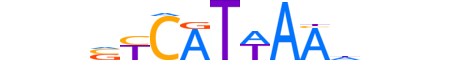 HXC10.H13INVIVO.1.S.B reverse-complement motif logo (HOXC10 gene, HXC10_HUMAN protein)