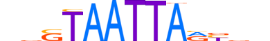 HXD1.H13INVIVO.0.SM.D reverse-complement motif logo (HOXD1 gene, HXD1_HUMAN protein)