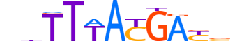 HXD10.H13INVIVO.0.SM.D motif logo (HOXD10 gene, HXD10_HUMAN protein)