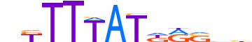 HXD13.H13INVIVO.0.PS.A motif logo (HOXD13 gene, HXD13_HUMAN protein)