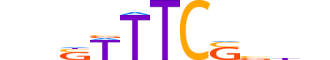 IRF5.H13INVIVO.1.S.B reverse-complement motif logo (IRF5 gene, IRF5_HUMAN protein)