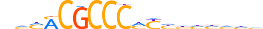 KLF15.H13INVIVO.0.S.B reverse-complement motif logo (KLF15 gene, KLF15_HUMAN protein)