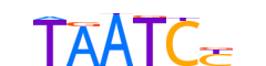 LEUTX.H13INVIVO.0.PSGB.A motif logo (LEUTX gene, LEUTX_HUMAN protein)