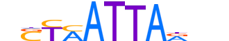 LHX2.H13INVIVO.0.PS.A reverse-complement motif logo (LHX2 gene, LHX2_HUMAN protein)