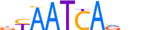 LHX6.H13INVIVO.0.P.B motif logo (LHX6 gene, LHX6_HUMAN protein)