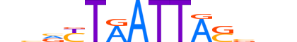 LHX6.H13INVIVO.1.S.B reverse-complement motif logo (LHX6 gene, LHX6_HUMAN protein)