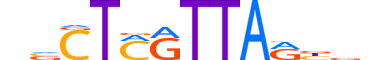 LHX6.H13INVIVO.2.M.C reverse-complement motif logo (LHX6 gene, LHX6_HUMAN protein)