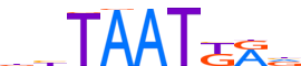 LHX9.H13INVIVO.0.PS.A motif logo (LHX9 gene, LHX9_HUMAN protein)