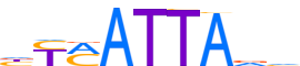 LHX9.H13INVIVO.0.PS.A reverse-complement motif logo (LHX9 gene, LHX9_HUMAN protein)