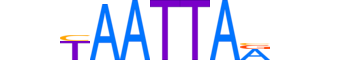 LMX1A.H13INVIVO.0.SM.D reverse-complement motif logo (LMX1A gene, LMX1A_HUMAN protein)