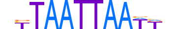 LMX1B.H13INVIVO.1.SM.B motif logo (LMX1B gene, LMX1B_HUMAN protein)