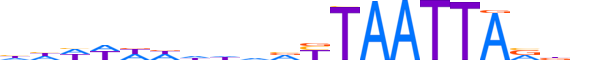 LMX1B.H13INVIVO.2.S.B reverse-complement motif logo (LMX1B gene, LMX1B_HUMAN protein)