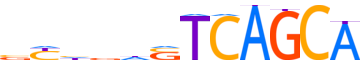 MAFB.H13INVIVO.0.PS.A reverse-complement motif logo (MAFB gene, MAFB_HUMAN protein)