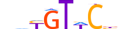 MCR.H13INVIVO.1.SM.D motif logo (NR3C2 gene, MCR_HUMAN protein)