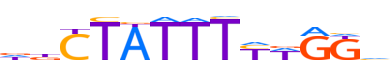 MEF2B.H13INVIVO.0.PS.A motif logo (MEF2B gene, MEF2B_HUMAN protein)