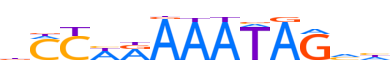 MEF2B.H13INVIVO.0.PS.A reverse-complement motif logo (MEF2B gene, MEF2B_HUMAN protein)