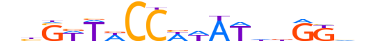 MEF2B.H13INVIVO.1.SM.B motif logo (MEF2B gene, MEF2B_HUMAN protein)