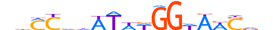 MEF2B.H13INVIVO.1.SM.B reverse-complement motif logo (MEF2B gene, MEF2B_HUMAN protein)