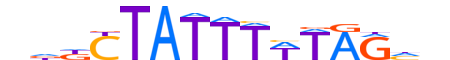 MEF2D.H13INVIVO.0.PS.A motif logo (MEF2D gene, MEF2D_HUMAN protein)