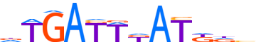 MEIS1.H13INVIVO.0.P.B motif logo (MEIS1 gene, MEIS1_HUMAN protein)