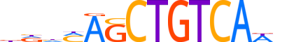 MEIS2.H13INVIVO.2.SM.B reverse-complement motif logo (MEIS2 gene, MEIS2_HUMAN protein)