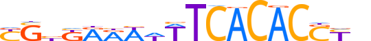 MGAP.H13INVIVO.1.S.B reverse-complement motif logo (MGA gene, MGAP_HUMAN protein)