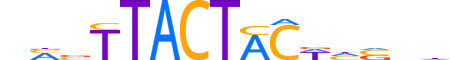 MSANTD4.H13INVIVO.0.SGIB.D motif logo (MSANTD4 gene, MSD4_HUMAN protein)