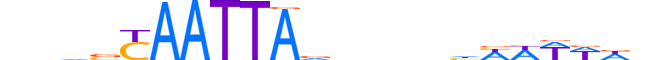 MSX1.H13INVIVO.1.S.D motif logo (MSX1 gene, MSX1_HUMAN protein)