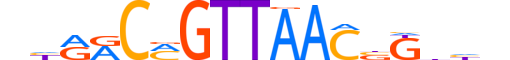 MYBA.H13INVIVO.2.S.B motif logo (MYBL1 gene, MYBA_HUMAN protein)