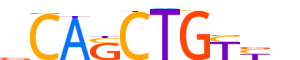 MYOD1.H13INVIVO.1.PSM.A motif logo (MYOD1 gene, MYOD1_HUMAN protein)