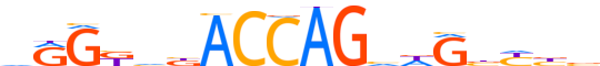 MYRFL.H13INVIVO.0.P.C motif logo (MYRFL gene, MRFL_HUMAN protein)