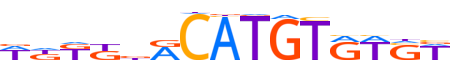 NACC2.H13INVIVO.0.PSGIB.A motif logo (NACC2 gene, NACC2_HUMAN protein)