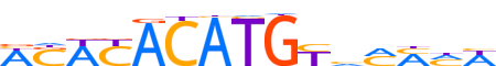 NACC2.H13INVIVO.0.PSGIB.A reverse-complement motif logo (NACC2 gene, NACC2_HUMAN protein)