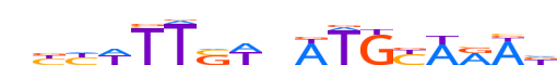 NANOG.H13INVIVO.0.P.B motif logo (NANOG gene, NANOG_HUMAN protein)