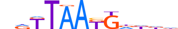 NANOG.H13INVIVO.2.M.C motif logo (NANOG gene, NANOG_HUMAN protein)