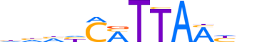 NANOG.H13INVIVO.2.M.C reverse-complement motif logo (NANOG gene, NANOG_HUMAN protein)