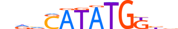 NDF1.H13INVIVO.1.S.C motif logo (NEUROD1 gene, NDF1_HUMAN protein)