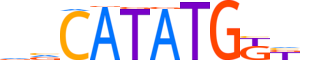 NDF2.H13INVIVO.1.S.B motif logo (NEUROD2 gene, NDF2_HUMAN protein)