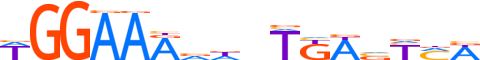 NFAC1.H13INVIVO.0.P.B motif logo (NFATC1 gene, NFAC1_HUMAN protein)