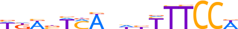 NFAC1.H13INVIVO.0.P.B reverse-complement motif logo (NFATC1 gene, NFAC1_HUMAN protein)