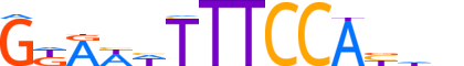 NFAT5.H13INVIVO.1.PS.A reverse-complement motif logo (NFAT5 gene, NFAT5_HUMAN protein)