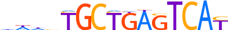 NFE2.H13INVIVO.0.P.B reverse-complement motif logo (NFE2 gene, NFE2_HUMAN protein)