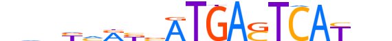 NFE2.H13INVIVO.1.SM.B reverse-complement motif logo (NFE2 gene, NFE2_HUMAN protein)