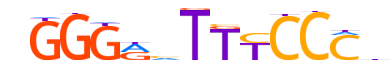 NFKB2.H13INVIVO.0.PSM.A reverse-complement motif logo (NFKB2 gene, NFKB2_HUMAN protein)