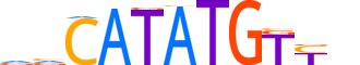 NGN2.H13INVIVO.1.SM.B motif logo (NEUROG2 gene, NGN2_HUMAN protein)