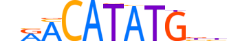 NGN2.H13INVIVO.1.SM.B reverse-complement motif logo (NEUROG2 gene, NGN2_HUMAN protein)